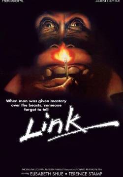 Link