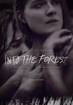 Into the Forest