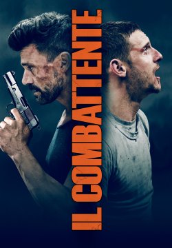 Il Combattente – Donnybrook