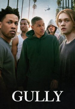 Gully